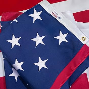 Amazon.com: Valley Forge 60311000II American Flag, 6'x10